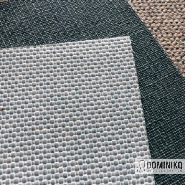 Vyva Fabrics - Pukka - 5017 - Chamomille
